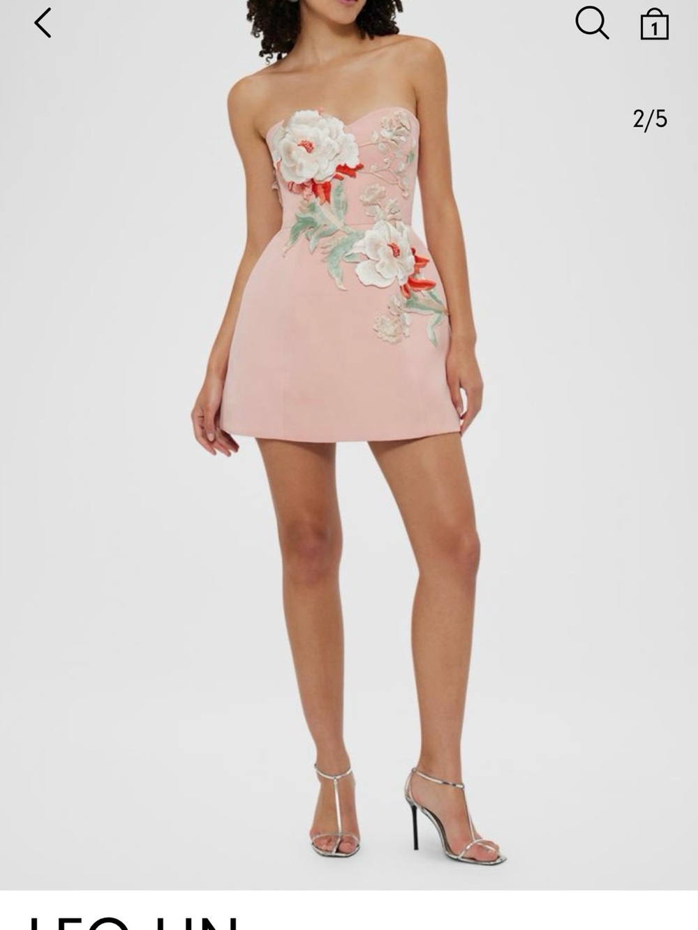 Rosario Appliqué Bustier mini dress
